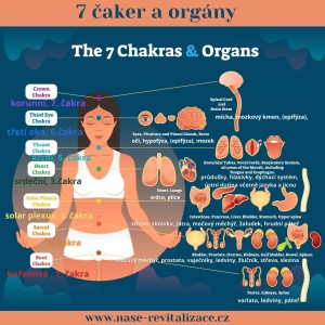 7-caker-a-organy--2-.jpg